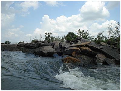 Remarkable Geographic Structuring of Rheophilic Fishes of the Lower Araguaia River